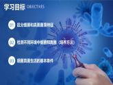 新人教版（2024）生物七年级上册--2.3.1微生物的分布（课件）