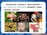 新人教版（2024）生物七年级上册--2.3.1微生物的分布（课件）