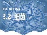 新人教版（2024）生物七年級(jí)上冊(cè)--2.3.2細(xì)菌（課件）