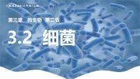 生物七年级上册（2024）第二节 细菌多媒体教学ppt课件