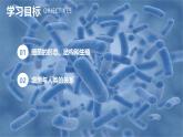 新人教版（2024）生物七年級(jí)上冊(cè)--2.3.2細(xì)菌（課件）