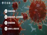 新人教版（2024）生物七年級上冊--2.3.4病毒（課件）