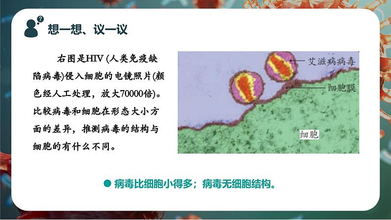 新人教版（2024）生物七年级上册--2.3.4病毒（课件）03