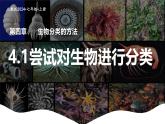 新人教版（2024）生物七年级上册--2.4.1尝试对生物进行分类（课件）