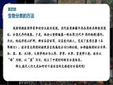 新人教版（2024）生物七年级上册--2.4.1尝试对生物进行分类（课件）