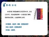 新人教版（2024）生物七年级上册--2.4.1尝试对生物进行分类（课件）