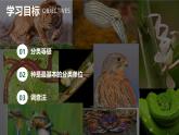 新人教版（2024）生物七年级上册--2.4.2从种到界pptx（课件）