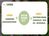 新人教版（2024）生物七年级上册--2.4.2从种到界pptx（课件）