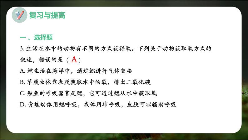 新人教版（2024）生物七年级上册--第二单元 多种多样的生物 单元小结（课件）05