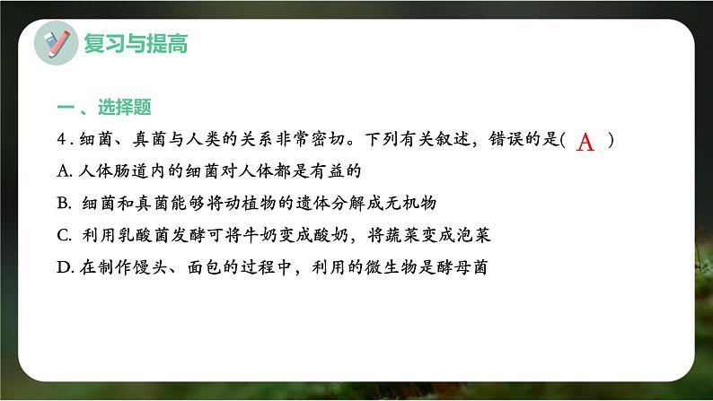 新人教版（2024）生物七年级上册--第二单元 多种多样的生物 单元小结（课件）06