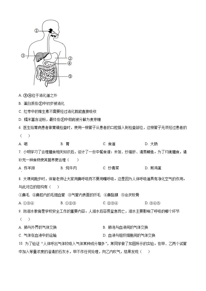 湖南省娄底市涟源市2023-2024学年七年级下学期期末生物学试题（原卷版）第2页