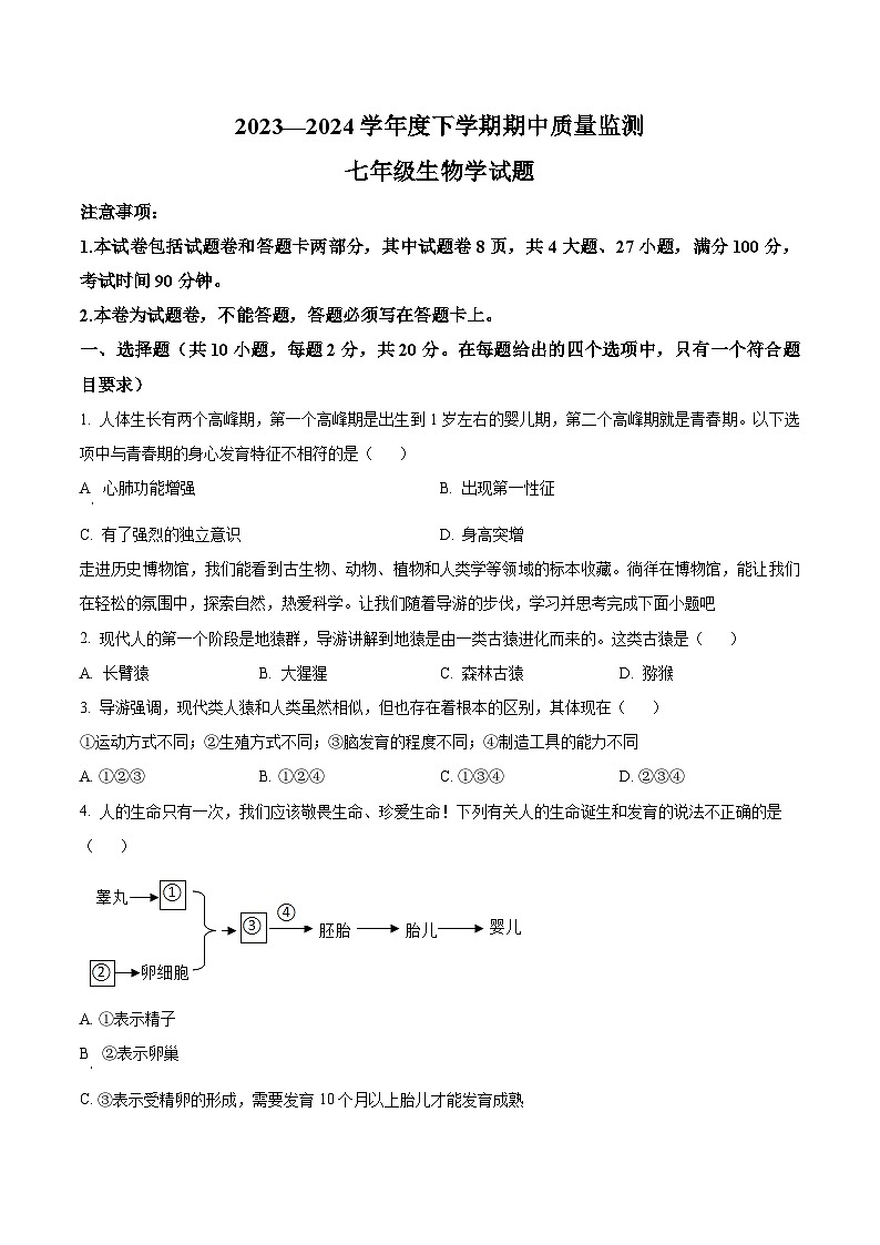 湖北省荆州市江陵县2023-2024学年七年级下学期期中生物学试题（原卷版）01