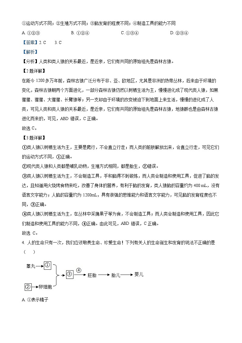 湖北省荆州市江陵县2023-2024学年七年级下学期期中生物学试题（解析版）02