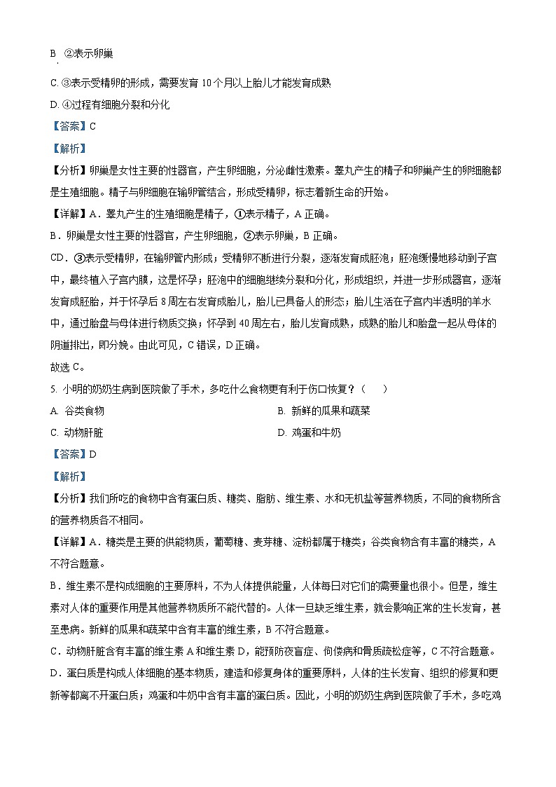 湖北省荆州市江陵县2023-2024学年七年级下学期期中生物学试题（解析版）03