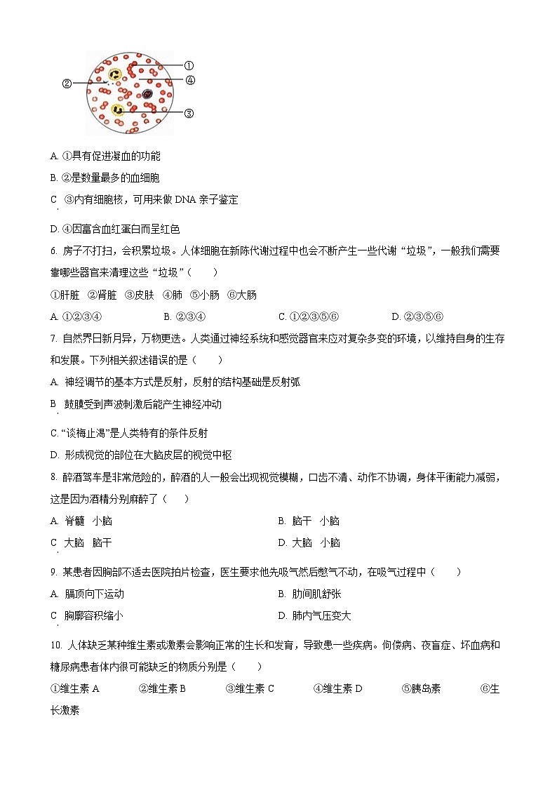 湖北省荆州市江陵县2023-2024学年七年级下学期期末生物学试题（原卷版）02
