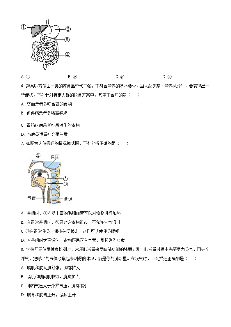 湖北省黄冈市麻城市2023-2024学年七年级下学期期中生物学试题（原卷版）02