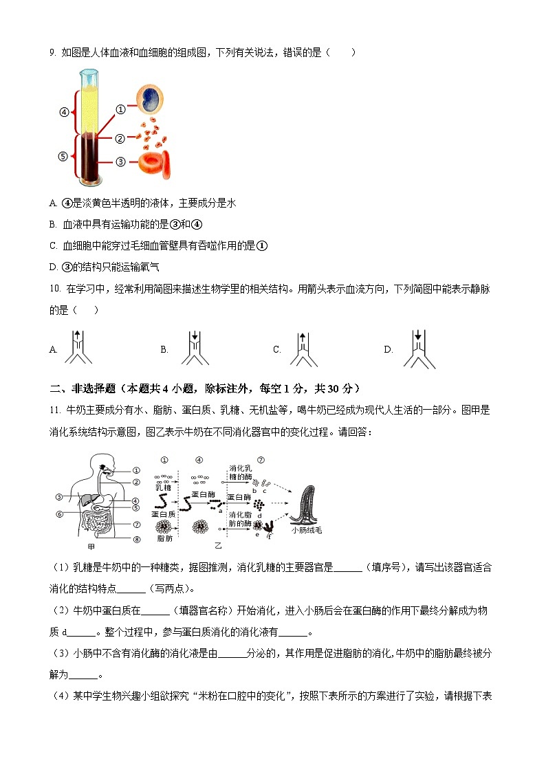 湖北省黄冈市麻城市2023-2024学年七年级下学期期中生物学试题（原卷版）03