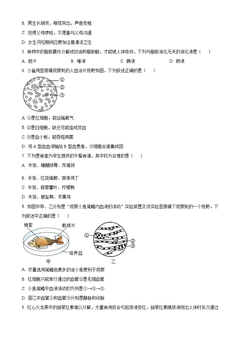 广西南宁市西乡塘区2023-2024学年七年级下学期期末生物学试题（原卷版）第2页