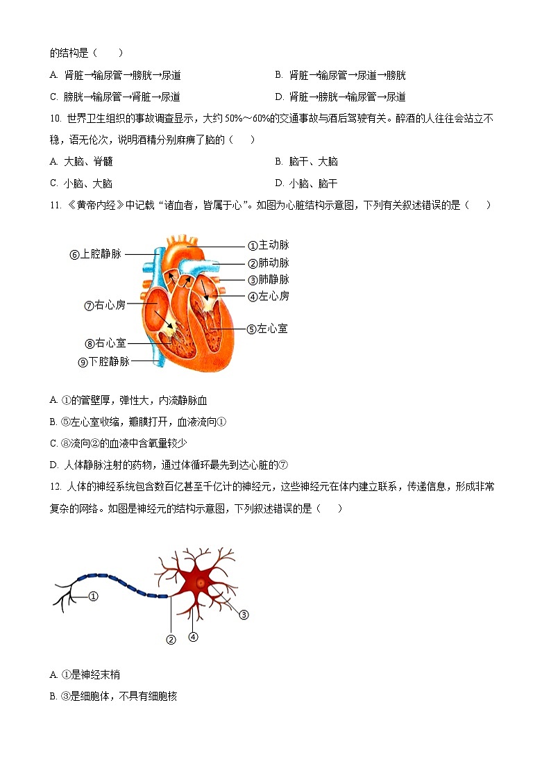 广西南宁市西乡塘区2023-2024学年七年级下学期期末生物学试题（原卷版）第3页