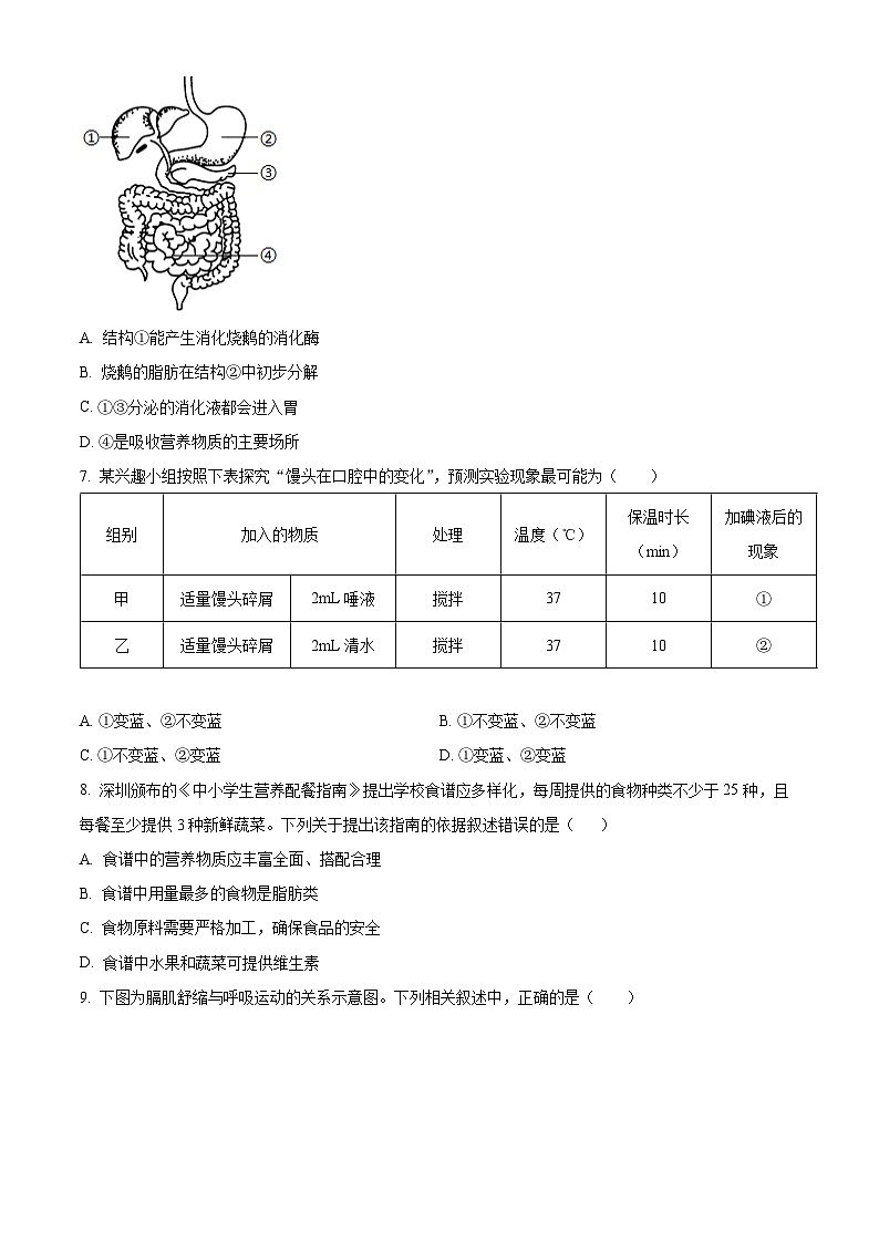 广东省深圳市罗湖区2023-2024学年七年级下学期期末生物学试题（原卷版）第3页