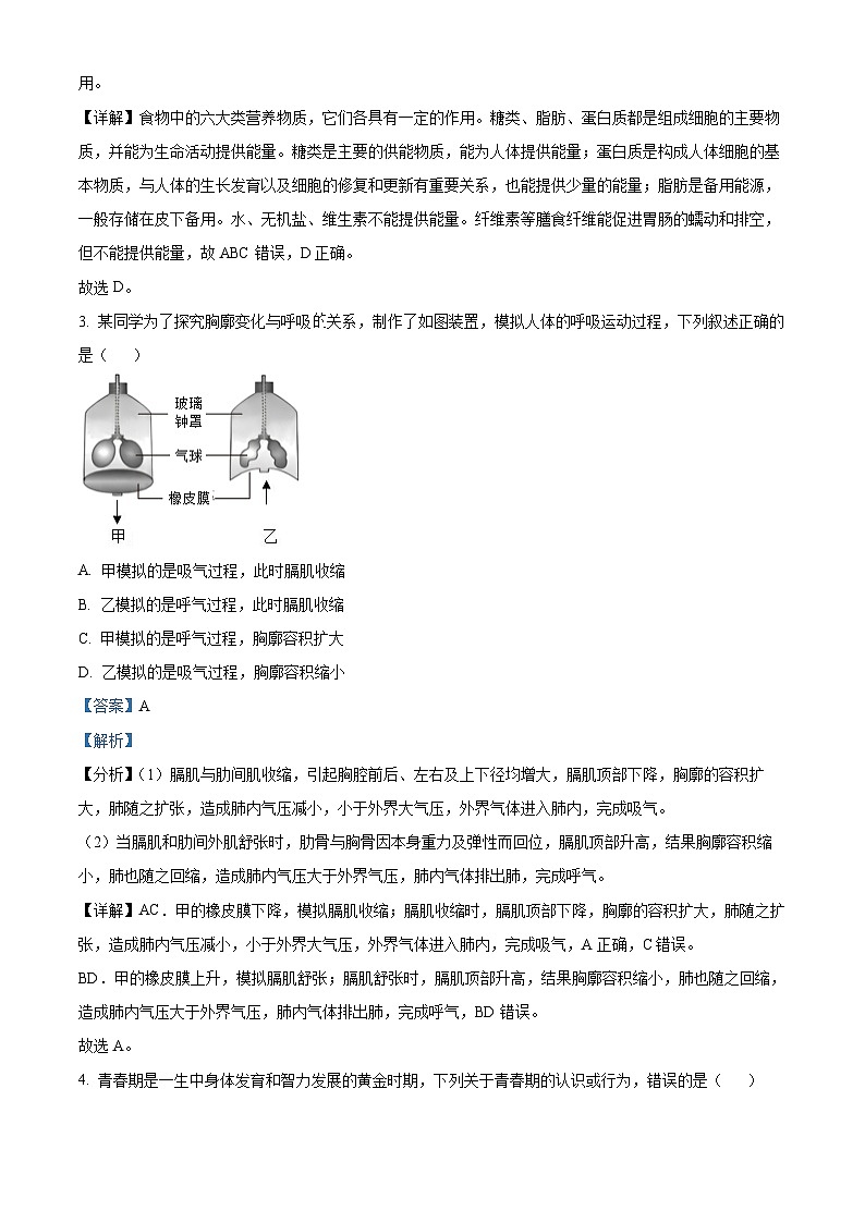 广西南宁市西乡塘区2023-2024学年七年级下学期期末生物学试题（解析版）第2页