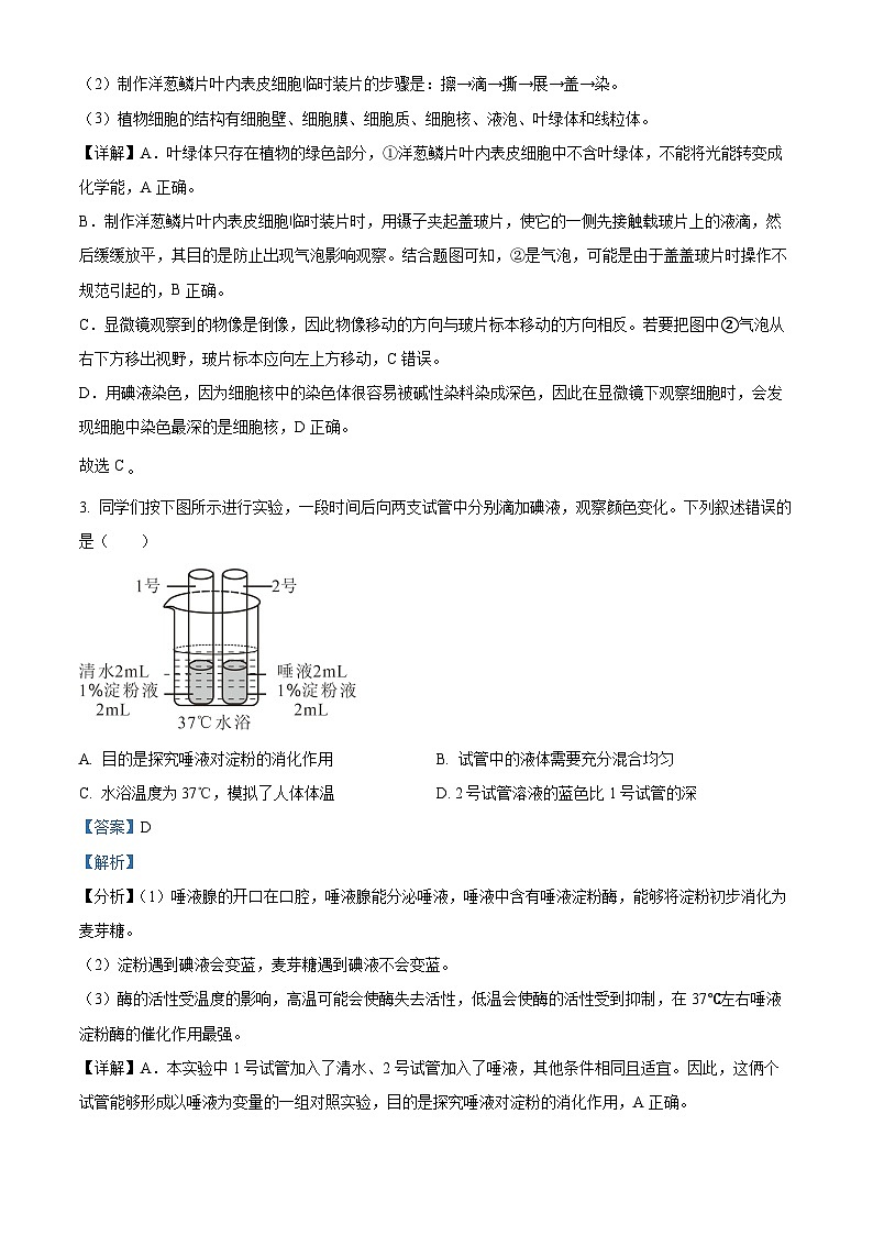 2024年江苏省徐州市新沂市八年级中考二模生物学试题（解析版）02