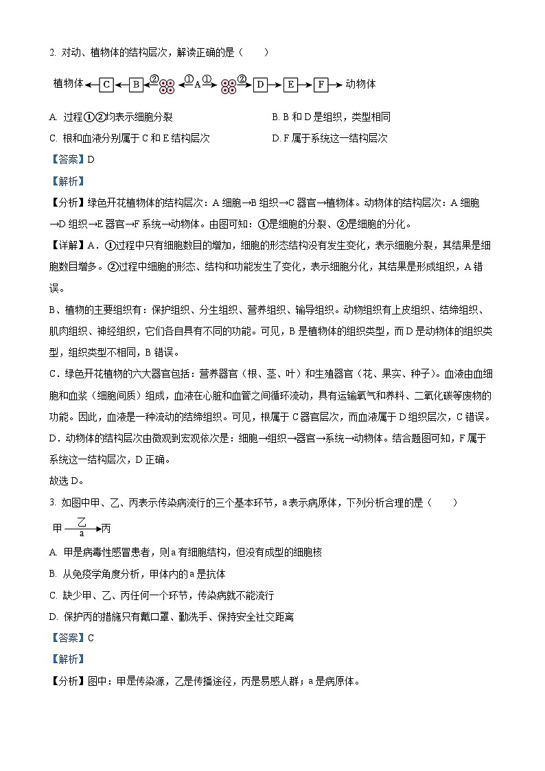 2024年江苏省徐州市新沂市八年级中考一模生物学试题（解析版）02