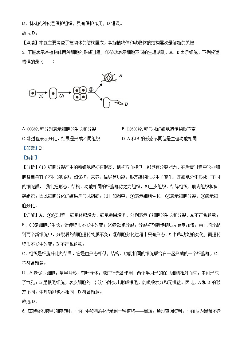 甘肃省武威市第十一中学2024-2025学年九年级上学期开学考试生物试题（解析版）第3页