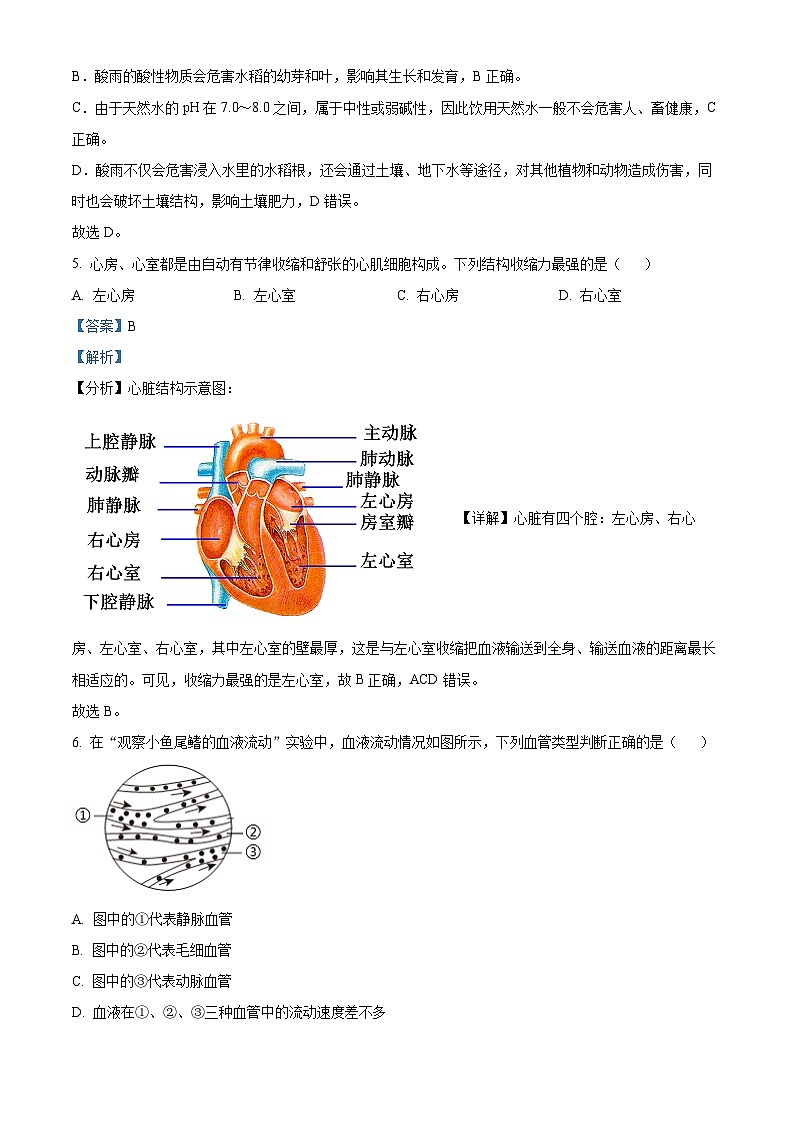 广西壮族自治区崇左市宁明县2023-2024学年七年级下学期期末生物学试题（解析版）第3页