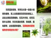 【核心素养】冀少版（2024）生物七年级上册 2.1.2  植物（一、苔藓植物和蕨类植物） 同步课件+同步练习