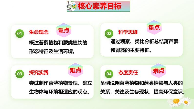 【核心素养】冀少版（2024）生物七年级上册 2.1.2  植物（一、苔藓植物和蕨类植物） 同步课件+同步练习03