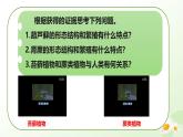 【核心素养】冀少版（2024）生物七年级上册 2.1.2  植物（一、苔藓植物和蕨类植物） 同步课件+同步练习