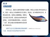 新人教版（2024）生物七年级上册--2.2.1无脊椎动物（课件）