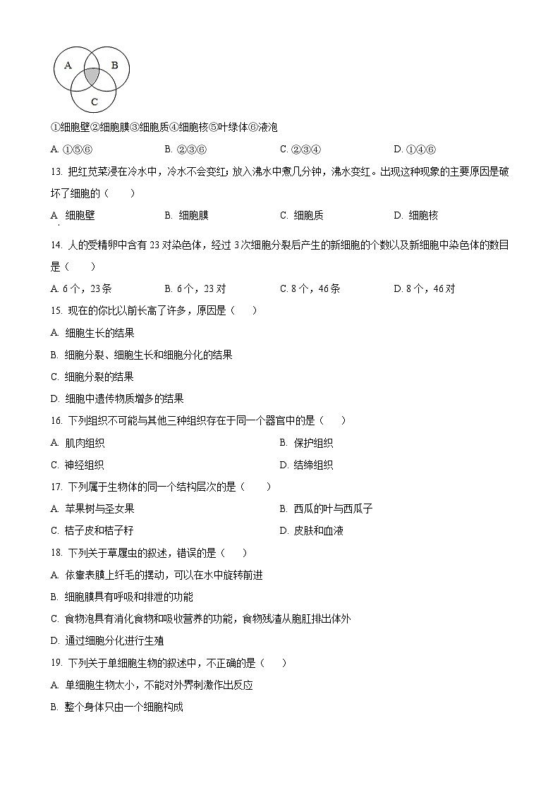 广西百色市县级市2023-2024学年七年级上学期期末生物试题（原卷版）03