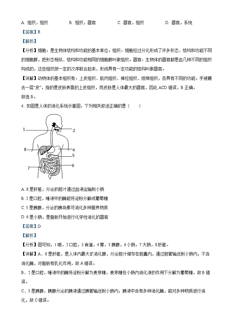 2024年甘肃省武威第十七中学教研联片中考模拟二模生物试题（解析版）02