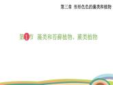 苏教版（2024）七年级生物上册课件 2.3.1 藻类和苔藓植物、蕨类植物