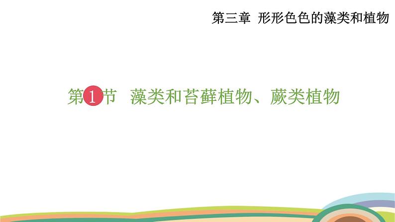 苏教版（2024）七年级生物上册课件 2.3.1 藻类和苔藓植物、蕨类植物02