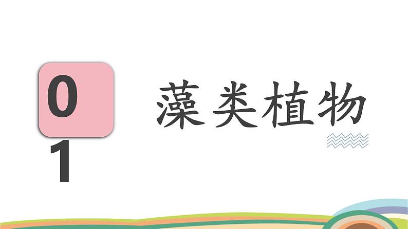 苏教版（2024）七年级生物上册课件 2.3.1 藻类和苔藓植物、蕨类植物07