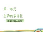 苏教版（2024）七年级生物上册课件 2.3.2 种子植物