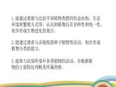 苏教版（2024）七年级生物上册课件 2.3.2 种子植物