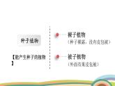 苏教版（2024）七年级生物上册课件 2.3.2 种子植物