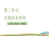 苏教版（2024）七年级生物上册课件 2.4.2 脊椎动物