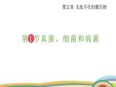 苏教版（2024）七年级生物上册课件 2.5.1 真菌、细菌和病毒