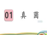 苏教版（2024）七年级生物上册课件 2.5.1 真菌、细菌和病毒