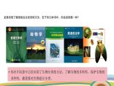 苏教版（2024）七年级生物上册课件 2.6.1  生物的分类