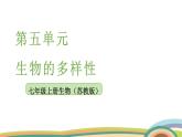 苏教版（2024）七年级生物上册课件 2.6.3 生物资源的保护