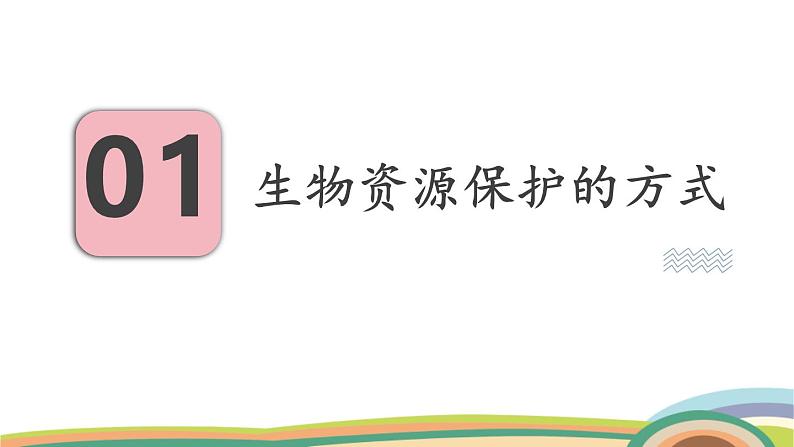 苏教版（2024）七年级生物上册课件 2.6.3 生物资源的保护04