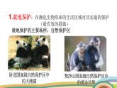 苏教版（2024）七年级生物上册课件 2.6.3 生物资源的保护