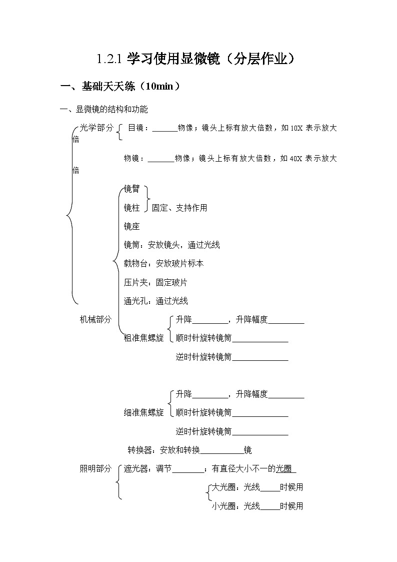 人教版（2024）初中生物学七年级上册1.2.1《学习使用显微镜》课件＋教案+学案+分层练习01