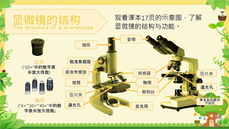 人教版（2024）初中生物学七年级上册1.2.1《学习使用显微镜》课件＋教案+学案+分层练习07